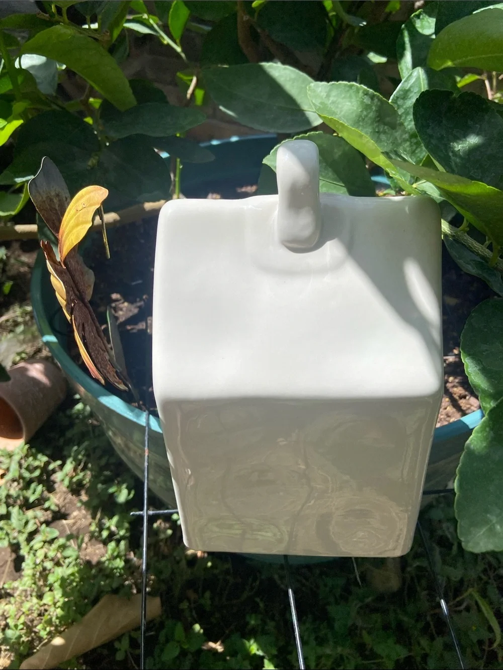Rae Dunn White Ceramic Birdhouse 'Baby Bird'